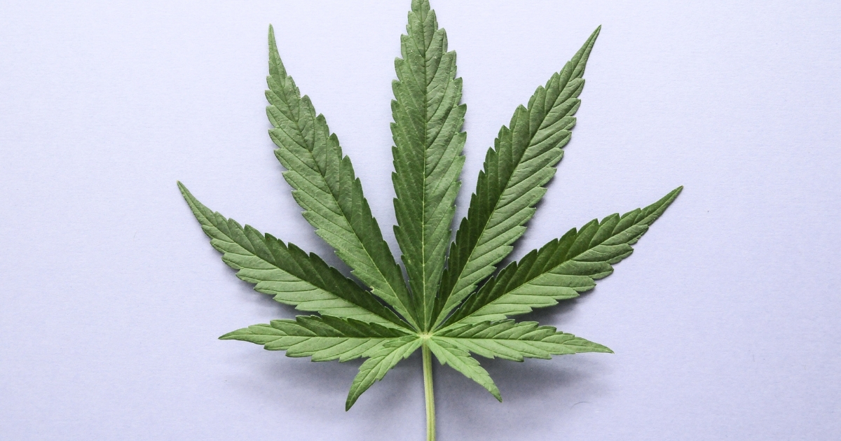 marijuana long term effects — supporting image 1