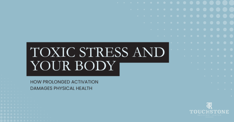 Title slide reading 'TOXIC STRESS AND YOUR BODY' with subtitle 'HOW PROLONGED ACTIVATION DAMAGES PHYSICAL HEALTH' on a blue patterned background; Touchstone Recovery Center logo bottom right.